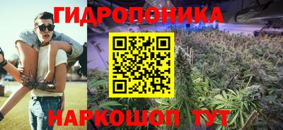 2c-b Боровичи