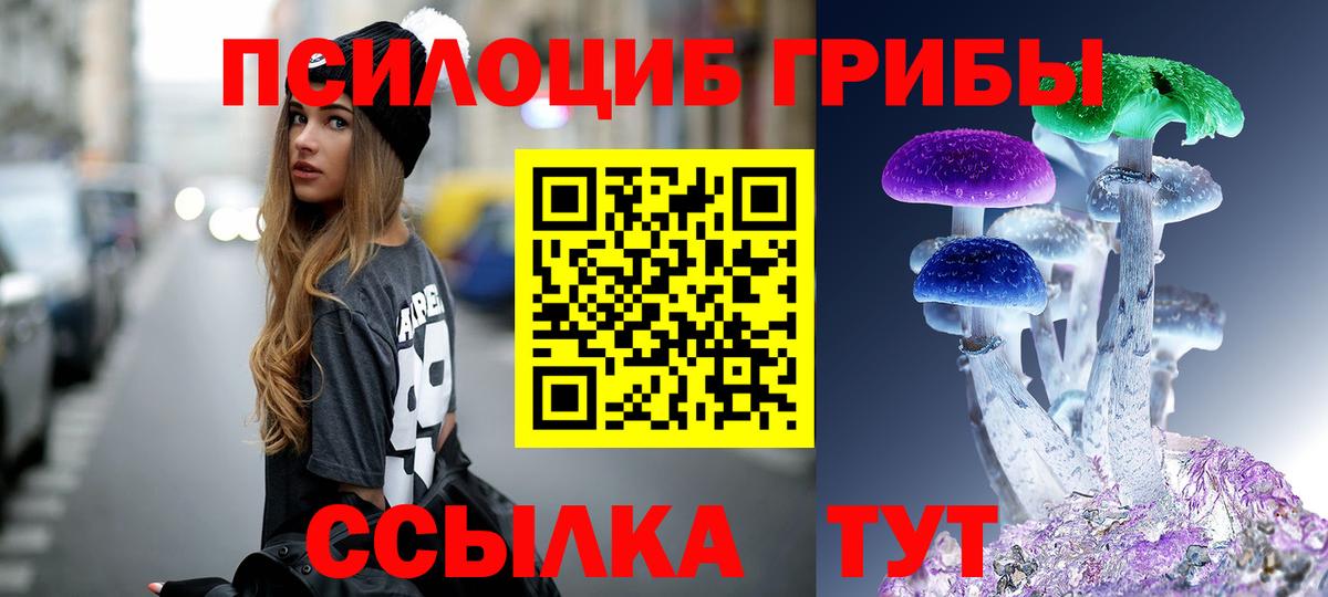 Галлюциногенные грибы прущие грибы Вышний Волочёк
