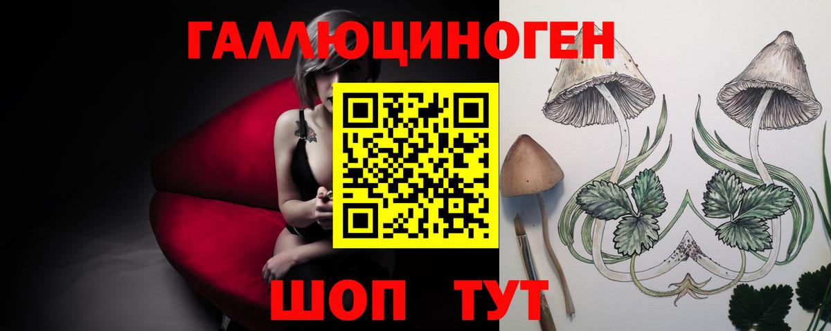 Псилоцибиновые грибы MAGIC MUSHROOMS  даркнет сайт  Вышний Волочёк  Вход с VPN 